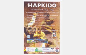 Stage Hapkido 12 octobre à Gandrange
