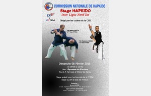 Stage Hapkido CNH 8 février 2015
