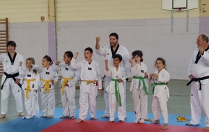 Grade Taekwondo