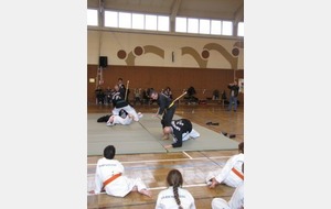 Cours Hapkido pour l'été