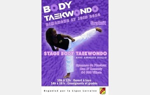 Stage Body Taekwondo Villers les Nancy