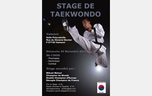 Stage Taekwondo Mikael Meloul