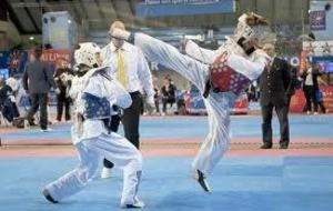 Stage Taekwondo interclubs