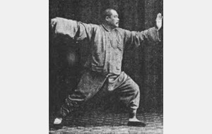 Stage tai chi chuan combat