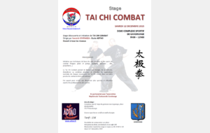 Stage Tai Chi Combat