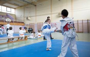 Plateau combat Taekwondo