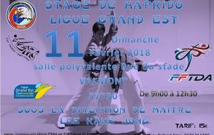 STAGE HAPKIDO 11/02/2018 VALMONT