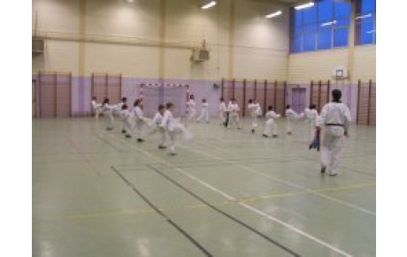 REPRISE DES COURS TAEKWONDO ET HAPKIDO