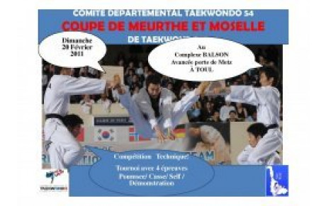 Coupe de Meurthe et Moselle 2011