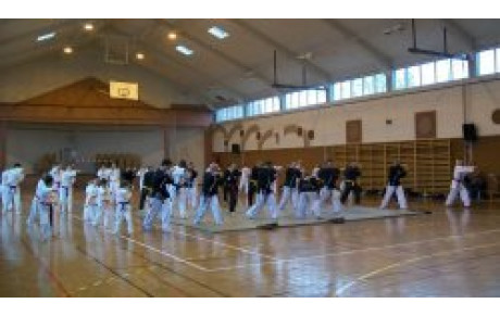 Stage HAPKIDO à Valmont 57