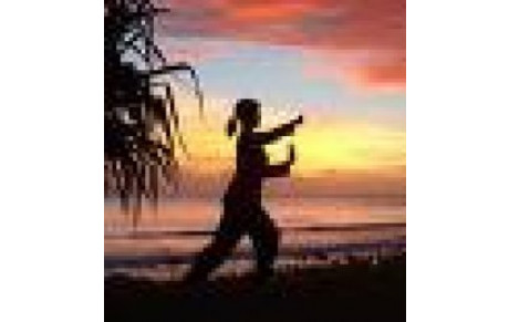 STAGE TECHNIQUES MARTIALES QI GONG