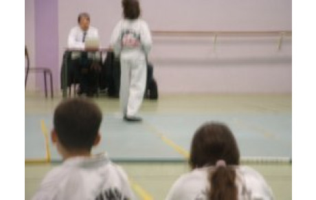 Passage de grade Taekwondo et Hapkido