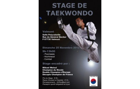 Stage Taekwondo Mikael Meloul