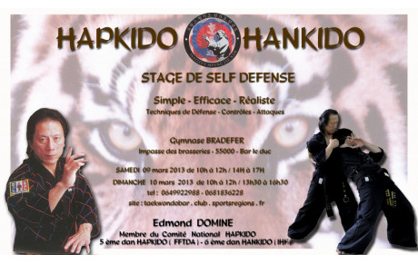STAGE HAPKIDO BAR LE DUC