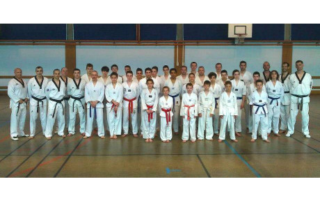 Stage Technique Taekwondo Sarreguemines