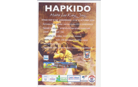 Stage Hapkido 12 octobre à Gandrange