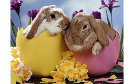 Cours du 10/09 et 11/09 annulés