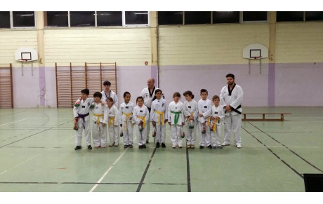 Passage Grade Taekwondo