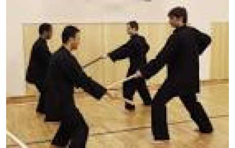 Stage QI GONG bâton 16/05/2015