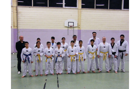Promotion taekwondo 27/01/2016