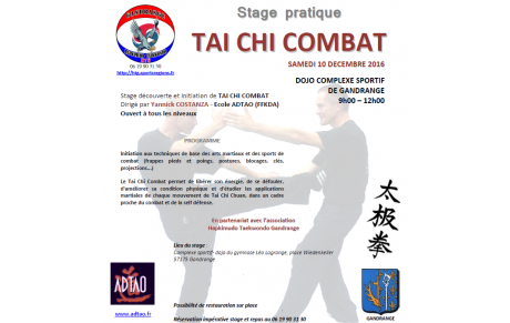 Stage Tai Chi Combat