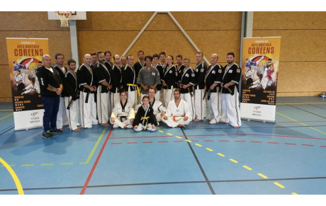 Séminaire Arts martiaux St Avold