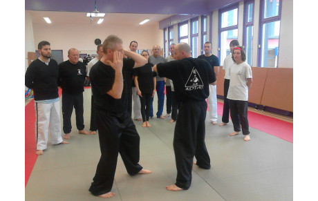 Stage tai chi Combat 10/12/2016
