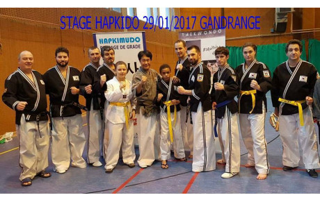 Passage de grade Hapkimudo 29 janvier 2017