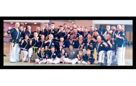 Stage Hoshinsul Valmont 5 mars 2017