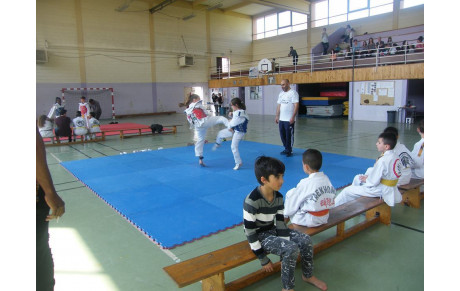 Plateau Plastrons electroniques Vitry
