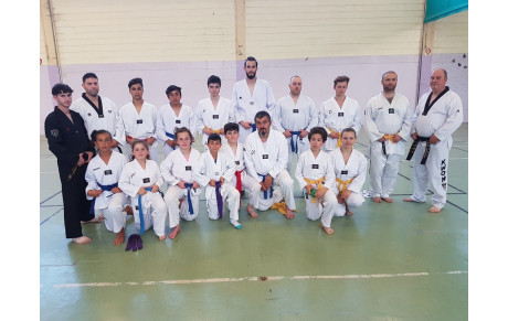 Promotion grade Taekwondo