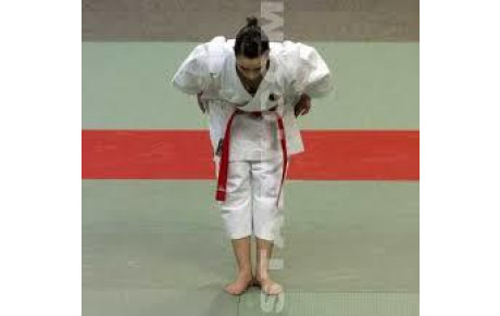 Annulation du cours enfants tkd mardi 26/09/2017