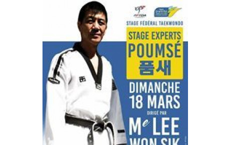 STAGE TECHNIQUE POUMSE AVEC LEE WON SIK