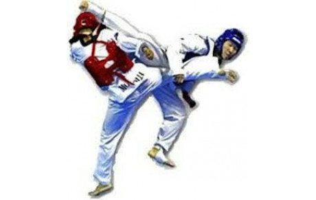 REPRISE DES COURS TAEKWONDO/ HAPKIDO 30/08/2021, TAI CHI LE 15/09/2021