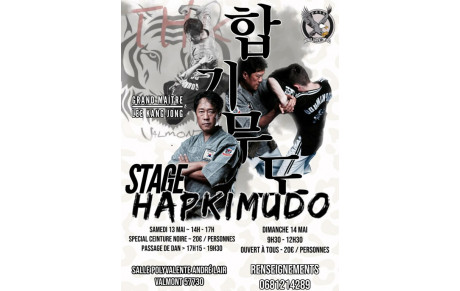 Stage et passage DAN Hapkimudo Valmont 13 et 14 mai 2023